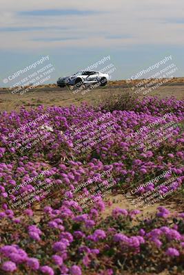 media/Jan-08-2023-SCCA SD (Sun) [[8f6a5b9391]]/Intermediate Group/Session 2 (Short Straight)/